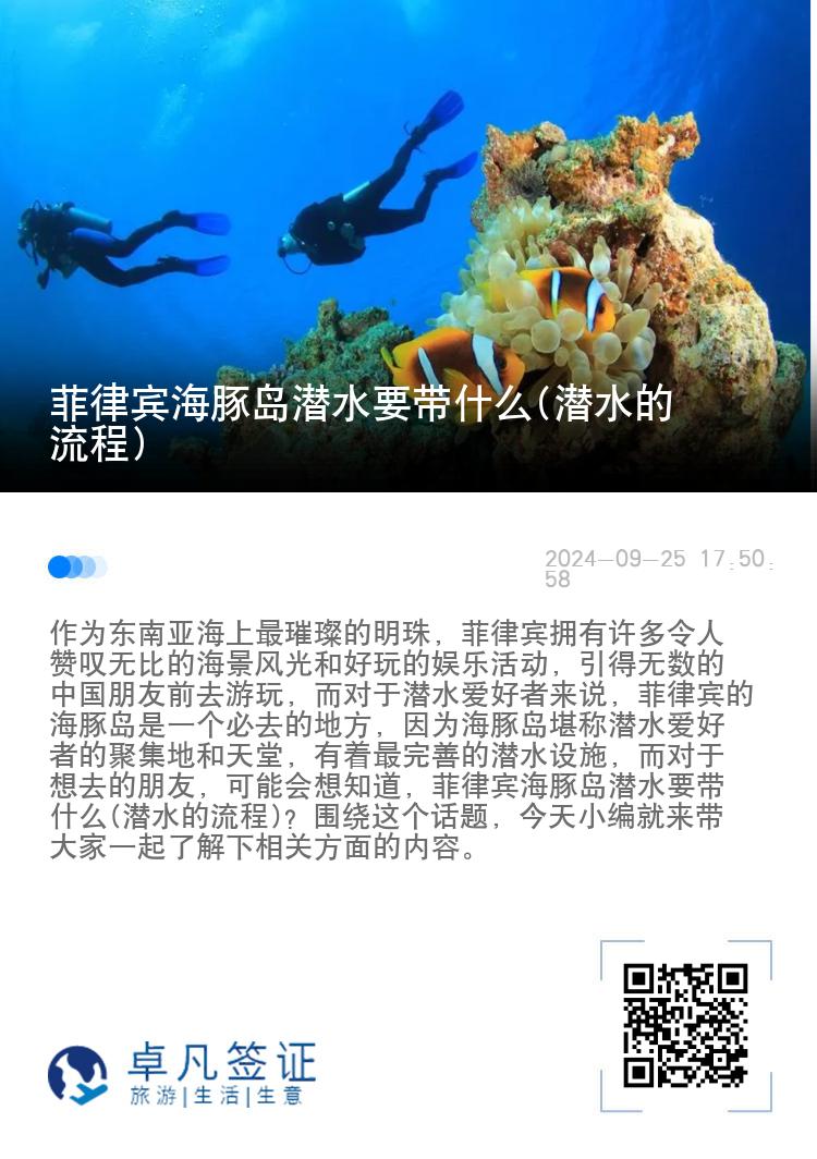 菲律宾海豚岛潜水要带什么(潜水的流程)