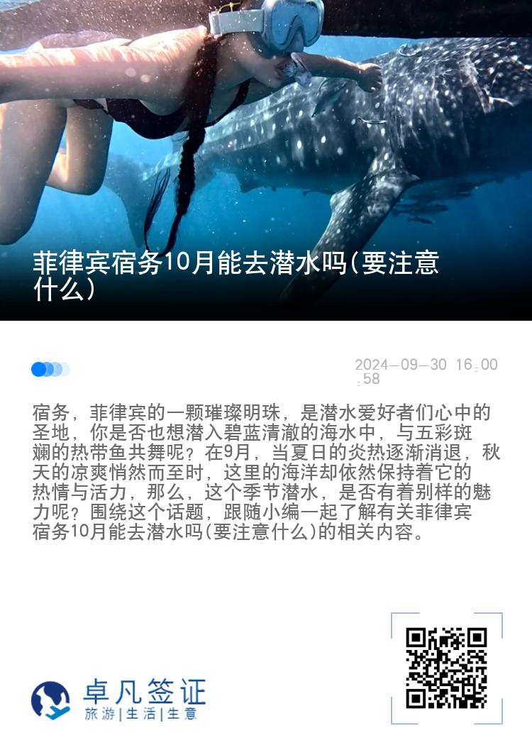 菲律宾宿务10月能去潜水吗(要注意什么)