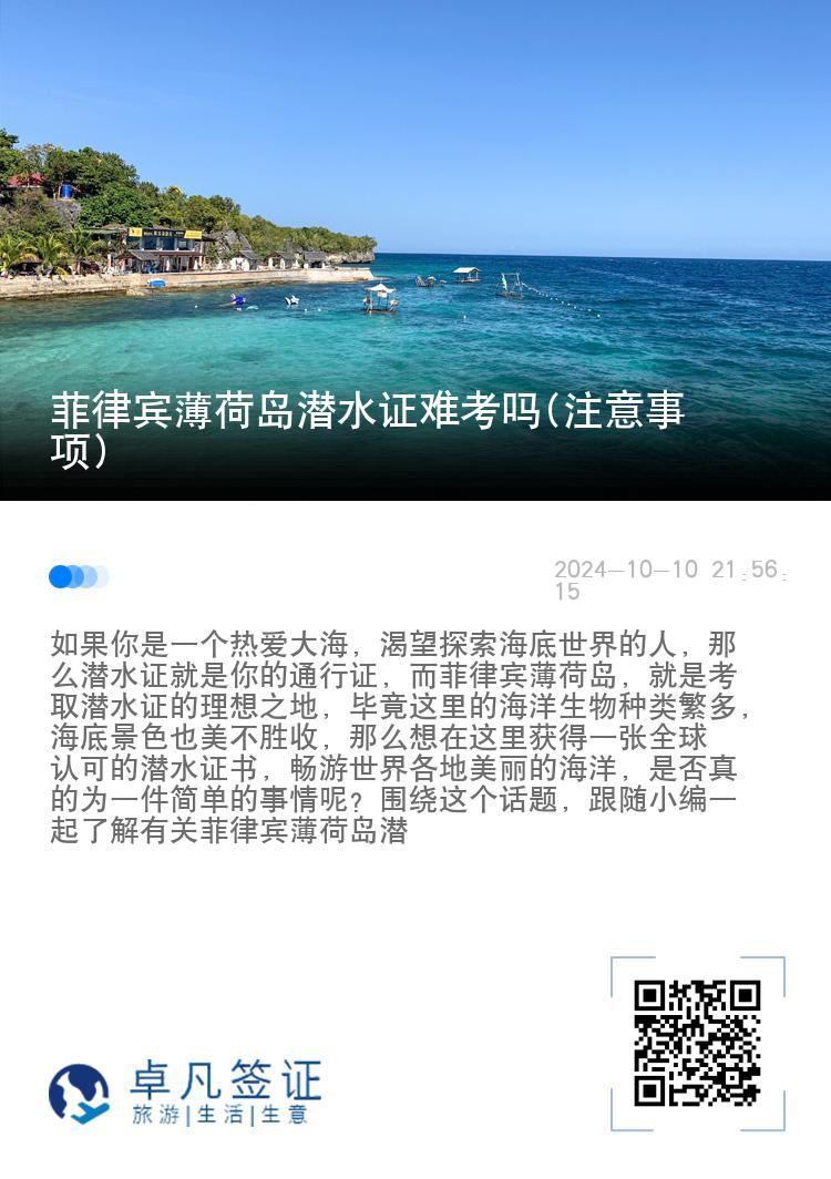 菲律宾薄荷岛潜水证难考吗(注意事项)