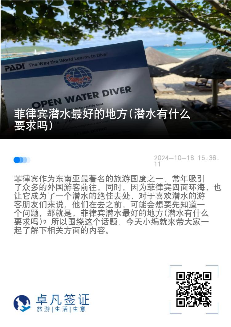 菲律宾潜水最好的地方(潜水有什么要求吗)