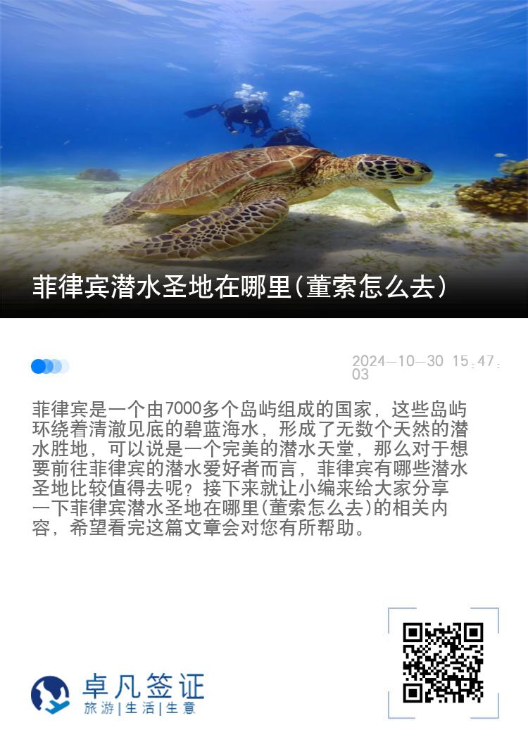 菲律宾潜水圣地在哪里(董索怎么去)