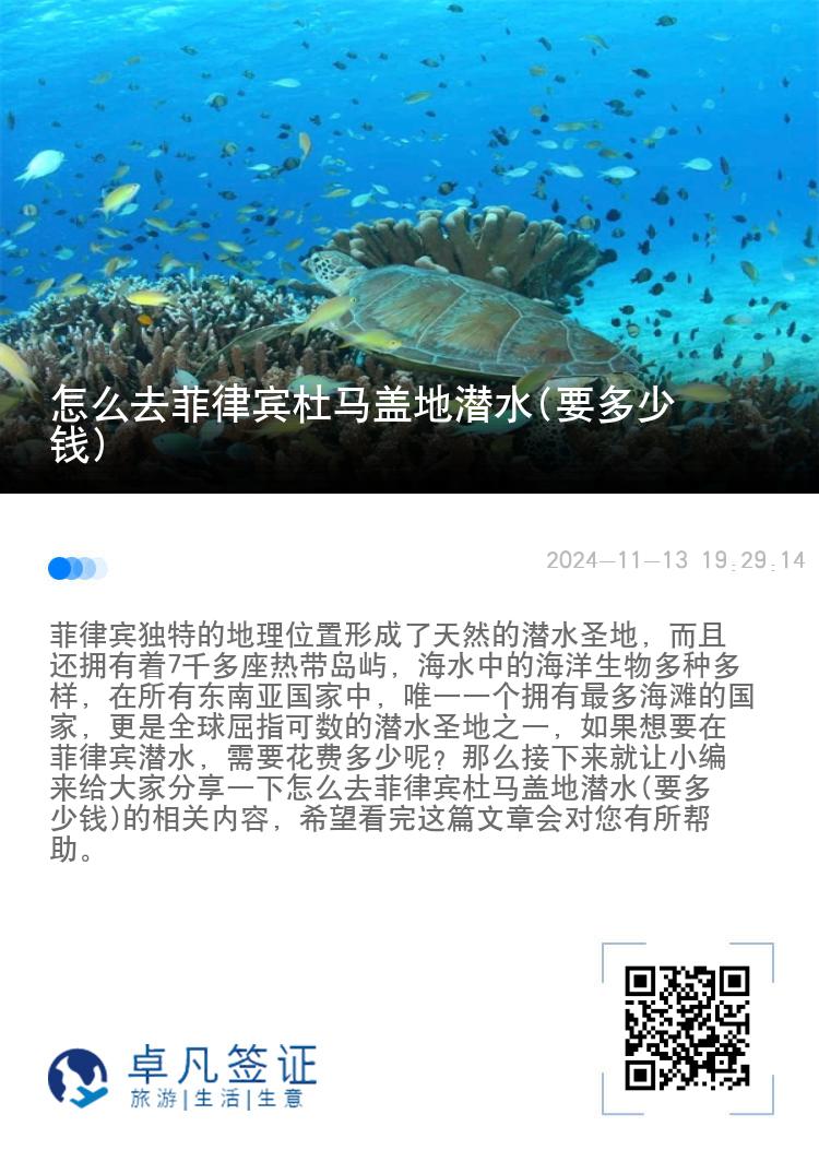 怎么去菲律宾杜马盖地潜水(要多少钱)