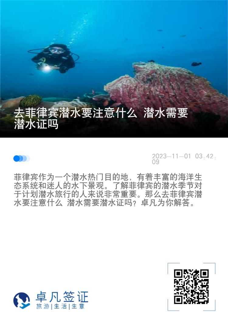 去菲律宾潜水要注意什么 潜水需要潜水证吗