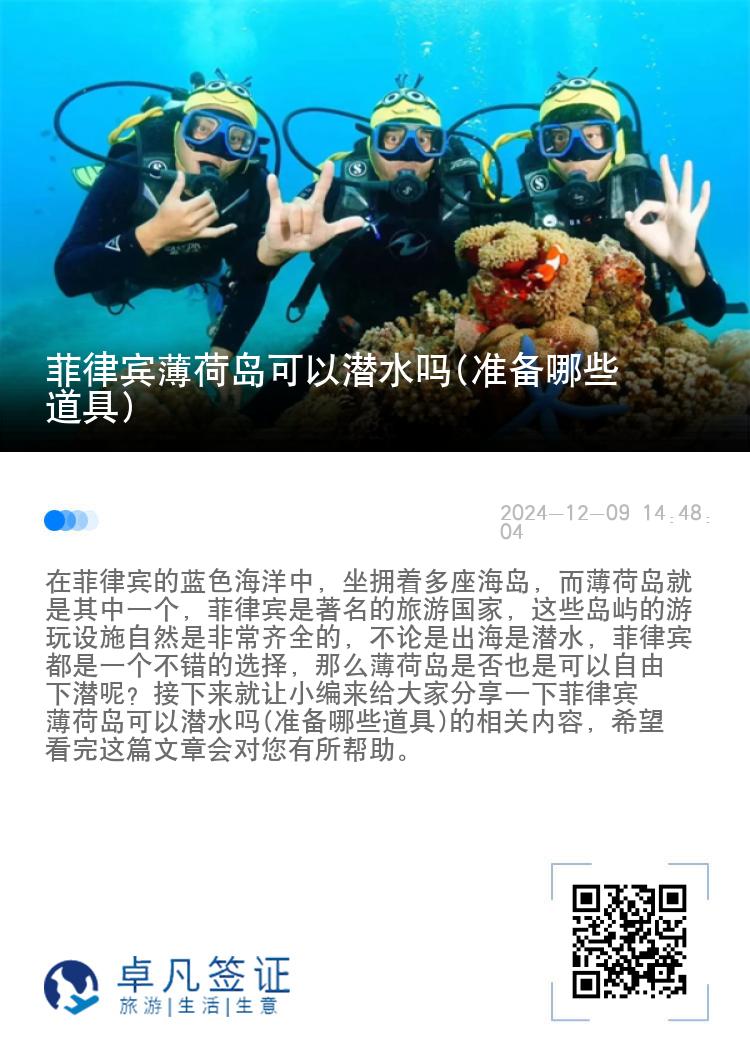 菲律宾薄荷岛可以潜水吗(准备哪些道具)