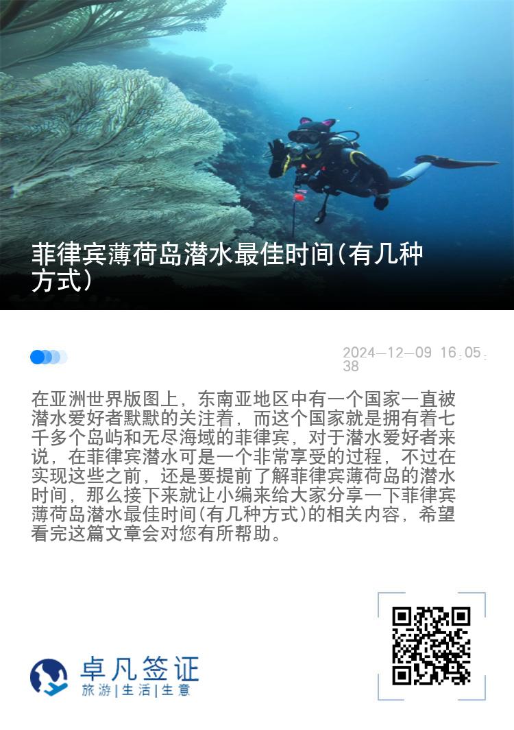 菲律宾薄荷岛潜水最佳时间(有几种方式)
