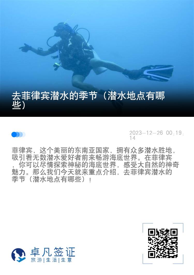 去菲律宾潜水的季节（潜水地点有哪些）