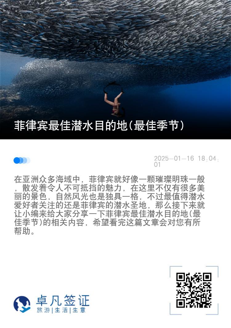 菲律宾最佳潜水目的地(最佳季节)