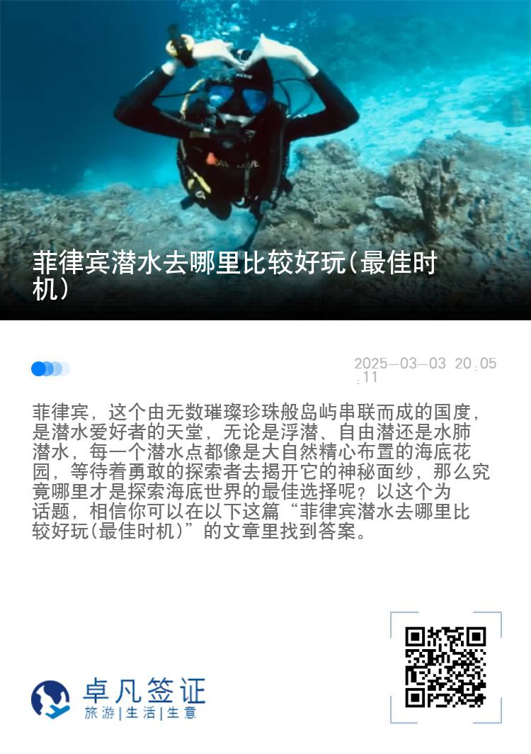 菲律宾潜水去哪里比较好玩(最佳时机)