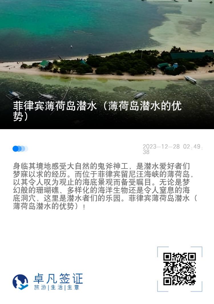 菲律宾薄荷岛潜水（薄荷岛潜水的优势）